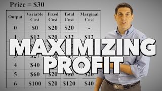 Maximizing Profit Practice [upl. by Yrffoeg858]