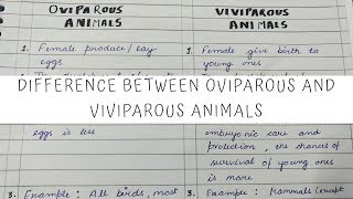 Difference between Oviparous and Viviparous animals 12th Biology [upl. by Welford]